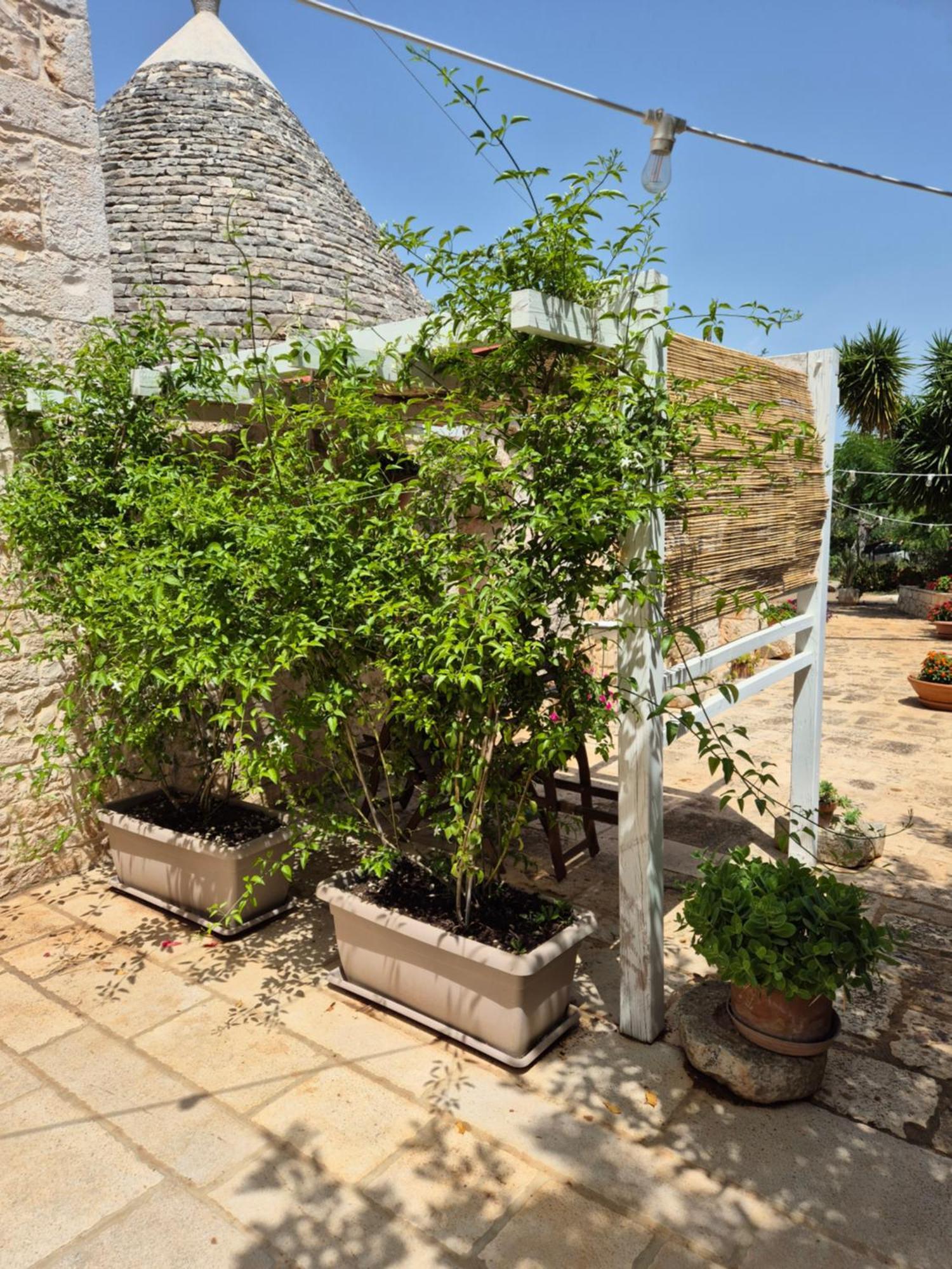 Hostal Il Trullo Di Nonna Lella Castellana Grotte Exterior foto