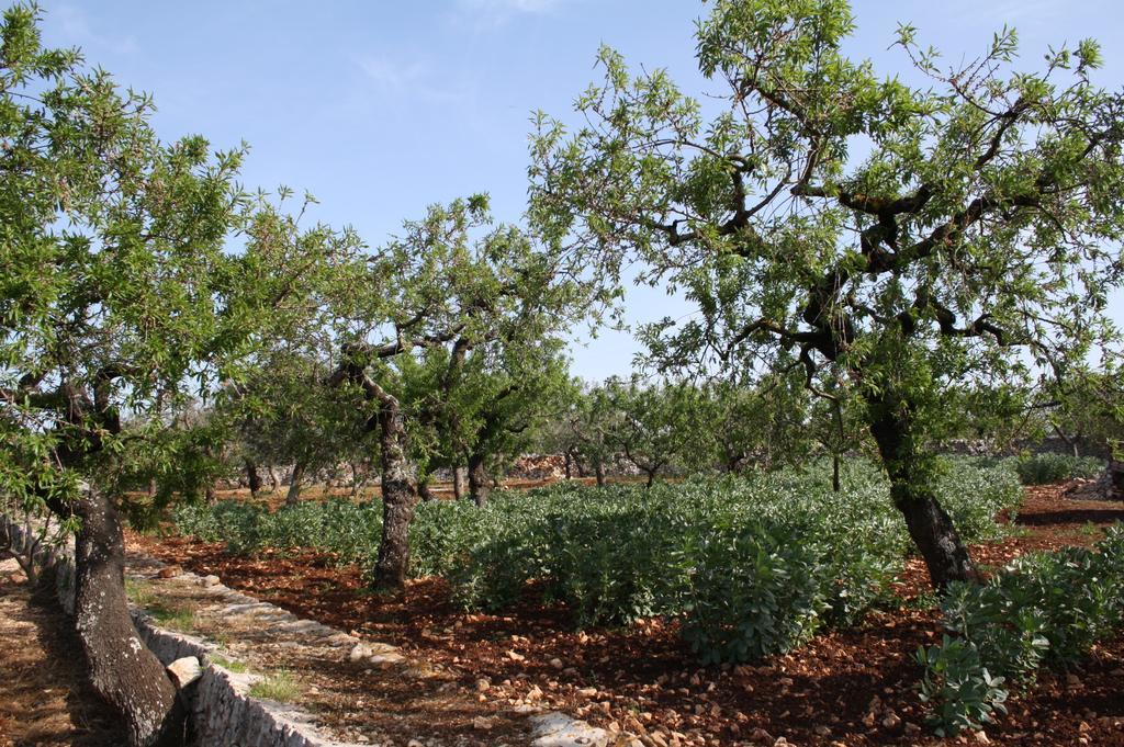 Hostal Il Trullo Di Nonna Lella Castellana Grotte Exterior foto